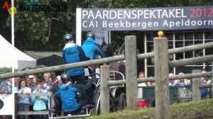 Frederik PERSSON (Swe)  - BEEKBERGEN 2012 Marathon