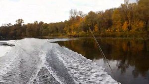 Тохацу 9.8 +гладиатор 330