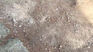 Ryobi RBV3000CSV Ryobi Electric leaf vacuum cleaner, Laubsauger test - Stärkster Laubsauger 375 km/