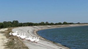 Варнавинское водохранилище. Дубль 2. Крымск.
