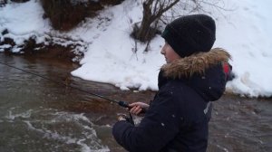 Речка Каменка Санкт Петербург
