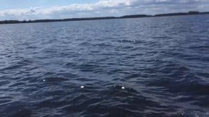 Вездеход "Шерп" в Ханты-Мансийске