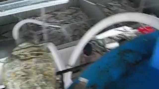 Хранение 1