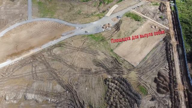 г.Кириши парк Прибрежный