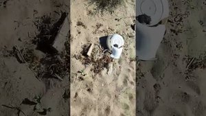 Сакский гарнизон село Новофедоровка Крым