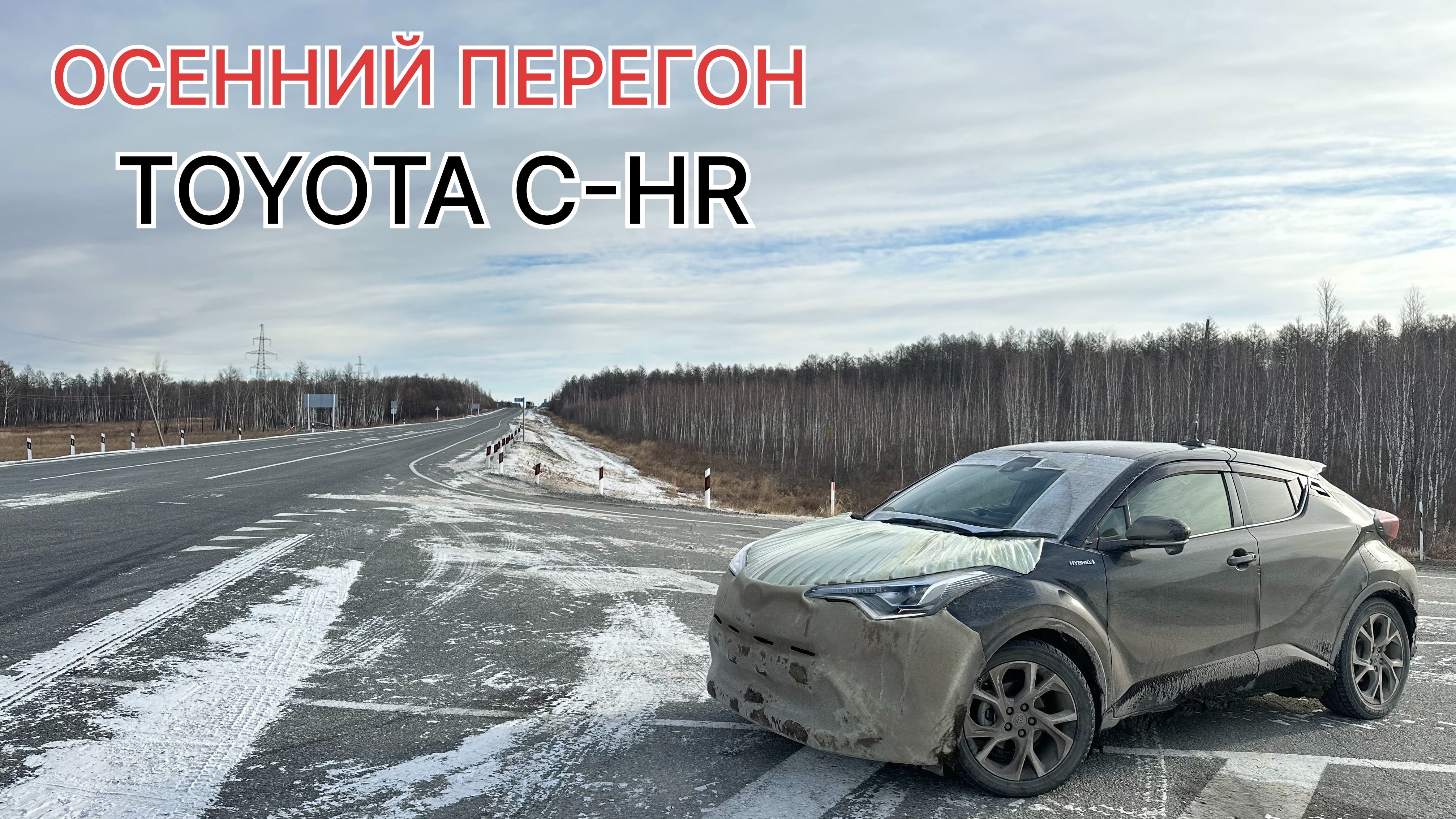 Осенний перегон TOYOTA C-HR японские санкции