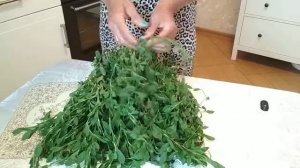 Заготовка спорыша