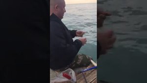 Ловля кефали на черном море