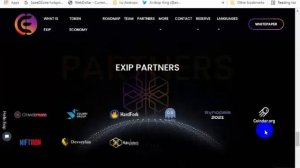 EXIP Project - A Decentralized Domain & Top-level domain NFT Join&Earn EXIP Tokens