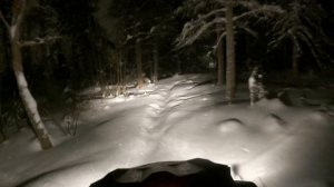 skandic swt gen4 900ace night slow ride, grooming the fat bikes trails