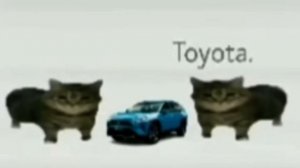 This is a Toyota (meme)