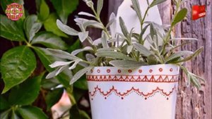 Мама хотела выбросить бутылки из-под моющих средств. То, что она сделала с ними, — просто гениально