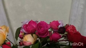 Самые стойкие розы?! -сорта которые держат цветок до месяца! ???, и цветут до мороза!!!