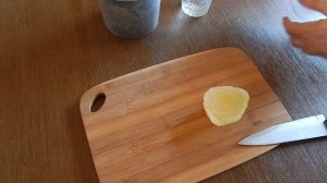 Выращиваем сельдерей дома в горшке. ?Огород на балконе!