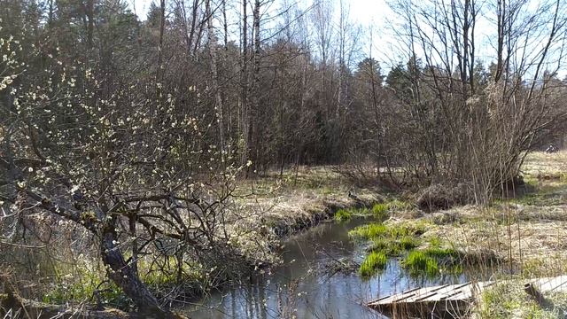 Николай Заболоцкий. Читает художник Мир внутри нас смотреть онлайн