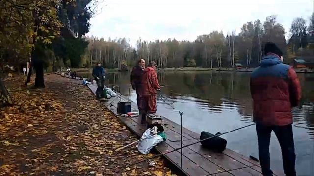 Ловля форели на нижнем водоёме. Поимки на все виды приманок и наживок. Клёвое место лосиный остров смотреть онлайн