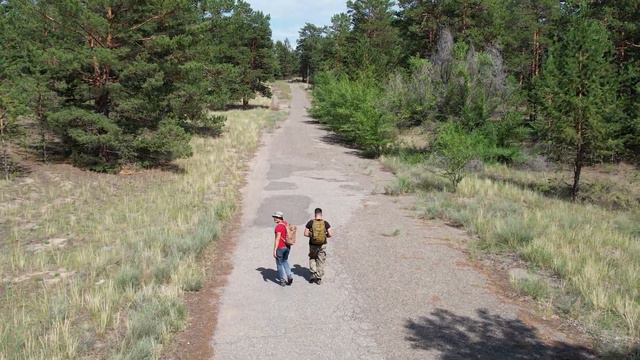 forest 2 смотреть онлайн