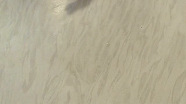 СУФЛЕ РЫБНОЕ | ВКУСНАЯ и ОРИГИНАЛЬНАЯ ЗАКУСКА смотреть онлайн