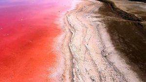 #Кояшское #озеро #керчь #море #крым #красота