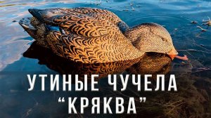 Утиные чучела "Кряква" Duck Mania, North Way, Softplast ALFA