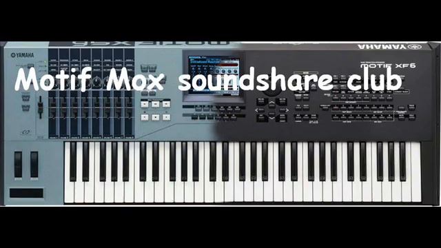 Song Sampling on motif XS смотреть онлайн