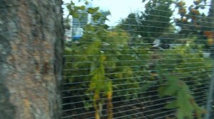 ОГОРАЖИВАЮСЬ