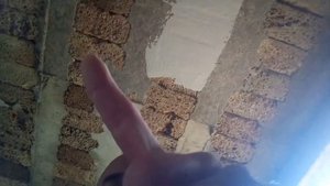 Ракушняк,стоит ли шпаклевать,без сетки??