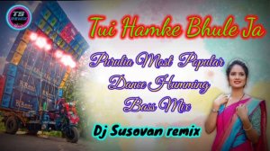 Tui Hamke Bhule Ja //Purulia Most Popular Dance Humming Mix 2023// Dj Susovan Remix //TS REMIX