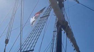 Поездка в штат Огайо, город Кливленд. Северная природа, ботанический сад, Амиши и антиквариат!