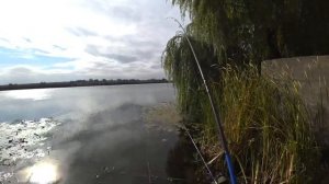 Ловля леща на фидер. Рыбалка для начинающих. Рыбалка 2021