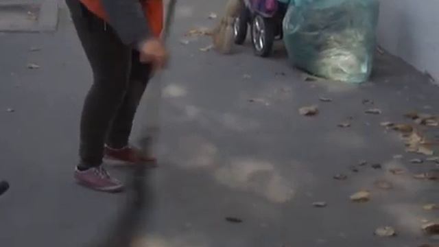 В Симферополе на выгодных условиях предлагают работу дворникам смотреть онлайн