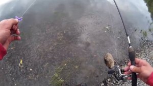 Рыбалка на реке Чулым. Рыбалка на спиннинг