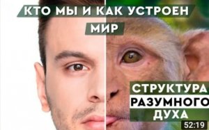 Внеземной разум о сознании землян. Как работает мышление человека? Структура духа.