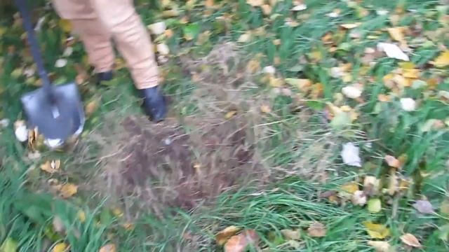 Поиски клада на свежем воздухе