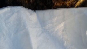 Прикоп укорененных осенью черенков роз, с целью сохранить до весны. Но. Ничего не получилось.