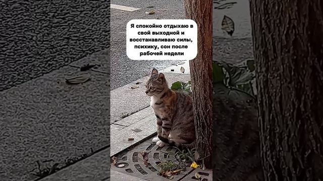 Обычный выходной фрилансера 

Космический рост продаж через социальные сети
Твоя Скоблик 💋🚀