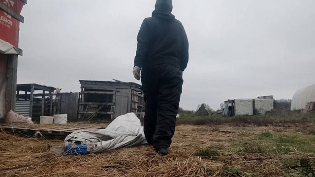 Гуляю не с козами,а с топором.Сказочно красивый козёл.Зарубила петухов.Рассыпчатый плов смотреть онлайн