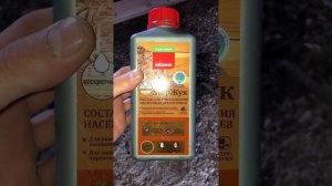 Борьба с жуком древоточец