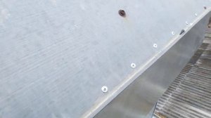 Как сделать вытяжную трубу чтоб не задувал котёл