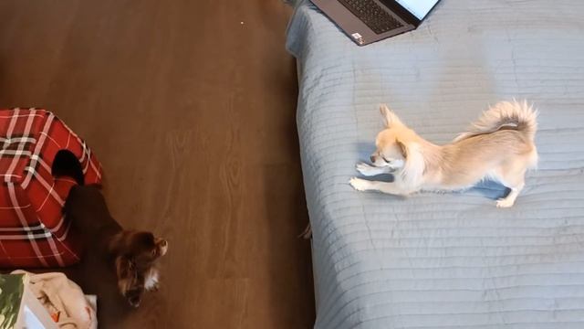 Шкаф-купе 4 метра своими руками ч.1 смотреть онлайн