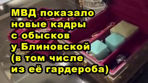 МВД показало новые кадры с обысков у Блиновской (в том числе из её гардероба)