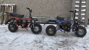 Образцы Сафари 3 на продажу, 2 шт.