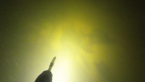 Острога, гавайка, слинг зимой v 2.0 Подводная охота 2024 ночная подводная охота 2024
