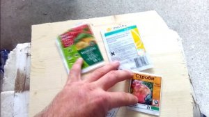 Как выглядит Милдью и Оидиум на винограднике.