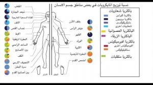 [111] المايكروبايوتا - المايكروبات التي تعيش داخل اجسامنا