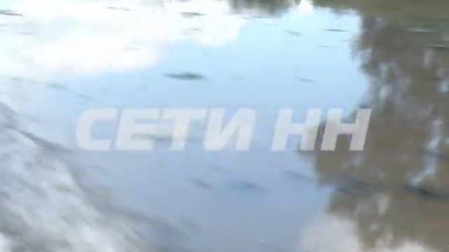 Вода в районе Лысково стала смертельно опасной для рыбы - тысячи особей погибли