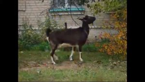 Новохопёрск  Прогулка по району  2013