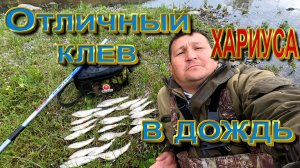 Рыбалка на хариуса в дождь на р.Бия_Лучшая удочка_ Эволюция кана для рыбы