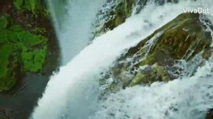 чтец: Абу Хаджар аль Ираки