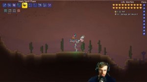 Terraria 1.3.3 // Пламя духа (Spirit Flame)